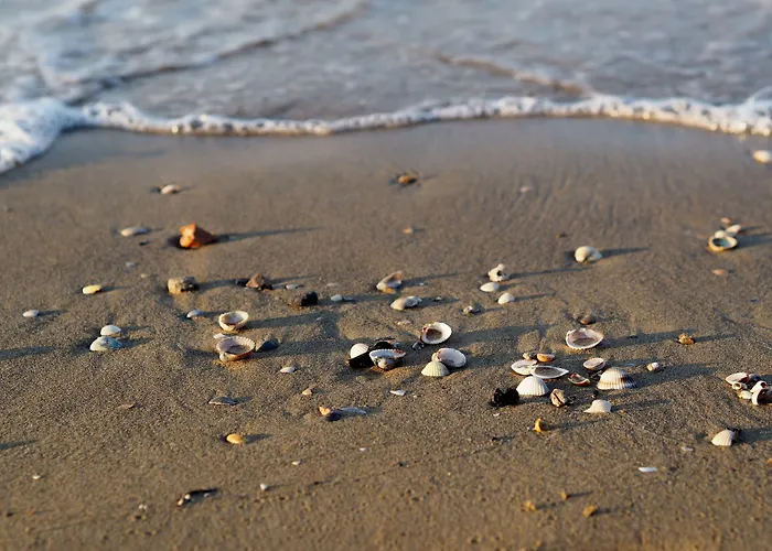 Comfortable Flat In A With Swimming Pool * Бибионе